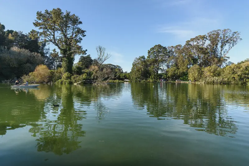 Photo of calm water and trees at Stow Lake in Golden Gate Park